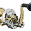 Accurate Boss Fury 2-Speed Reels -Fishing Tackle Shop accurate boss fury 2 speed reels 34138.1651148233