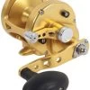Avet MXL 5.8 G2 MC 1 Speed Reel - Gold (No Glide Plate) 1 Avet MXL 5.8 G2 MC 1 Speed Reel - Gold (No Glide Plate) -Fishing Tackle Shop avet mxl 5 8 g2 mc rh gd ngp reel 60291.1651417674.386.513