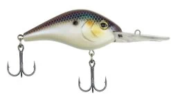 Berkley Dredger Crankbait Lures -Fishing Tackle Shop berkley dredger crankbait lures 98577.1650808643