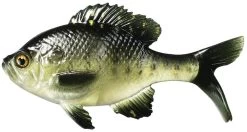 Coalition Bait Co. Gill Swimbait 10 Coalition Bait Co. Gill Swimbait -Fishing Tackle Shop coalition bait co gill swimbait 20305.1651247379