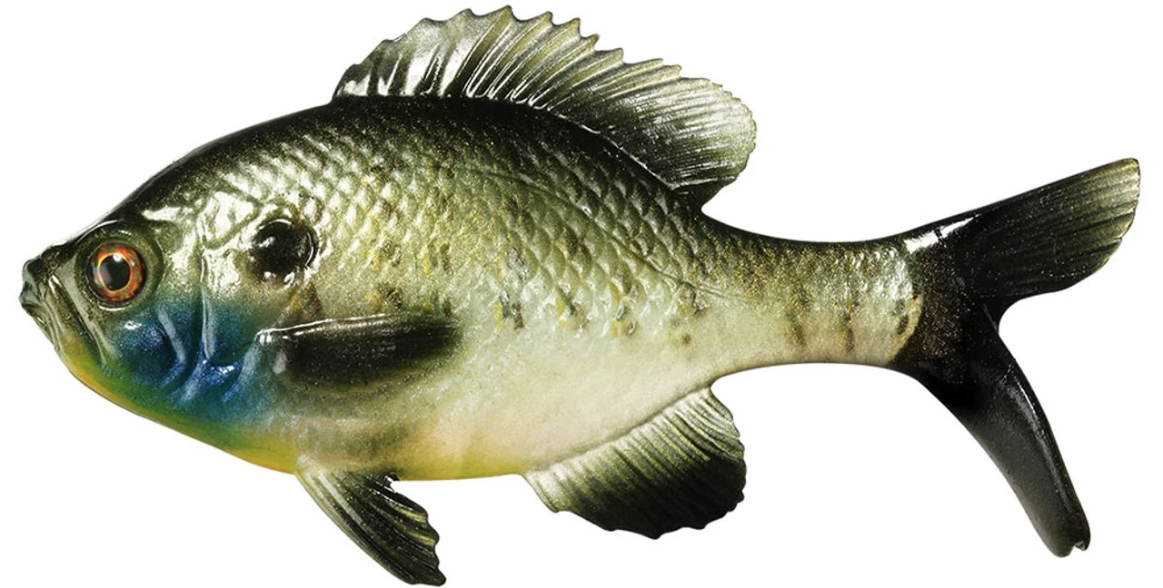 Coalition Bait Co. Gill Swimbait 3 Coalition Bait Co. Gill Swimbait