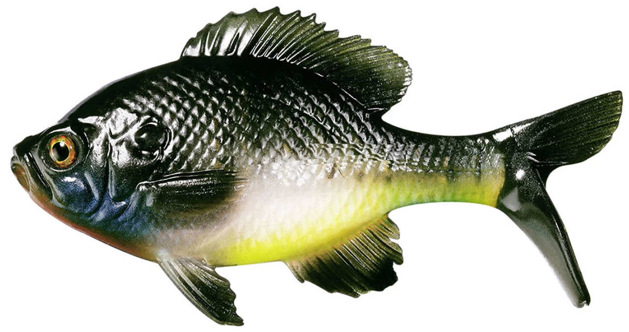 Coalition Bait Co. Gill Swimbait 4 Coalition Bait Co. Gill Swimbait - Image 2