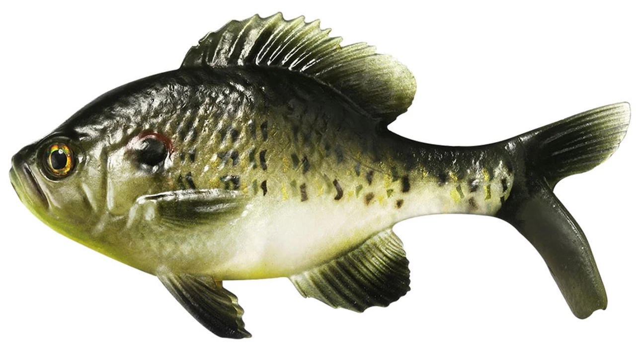 Coalition Bait Co. Gill Swimbait 7 Coalition Bait Co. Gill Swimbait - Image 5