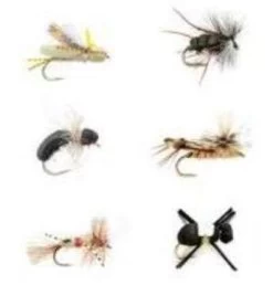 Fulling Mill Terrestrial Selection