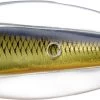 LIVETARGET Erratic Shiner Casting Spoon - 2in - Gold/Black -Fishing Tackle Shop livetarget ess50sk208 erratic shiner casting spoon 06509.1651247424