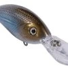 Livingston Lures Tournament Series Deep Impact 6 Crankbait 2 Livingston Lures Tournament Series Deep Impact 6 Crankbait -Fishing Tackle Shop livingston lures tournament series deep impact 6 crankbait 08629.1650783025