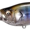 Megabass IXI Shad TX Crankbait 1 Megabass IXI Shad TX Crankbait -Fishing Tackle Shop megabass ixi shad tx crankbait 24031.1678368714