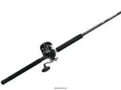 Penn Warfare Level Wind Combos 7 Penn Warfare Level Wind Combos -Fishing Tackle Shop penn warfare level wind combos 13259.1650815140