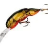 Rebel D77 Deep Teeny Wee Crawfish 1 1/2in Crankbait 1 Rebel D77 Deep Teeny Wee Crawfish 1 1/2in Crankbait -Fishing Tackle Shop rebel d77 deep teeny wee crawfish 1 1 2in crankbait 58825.1651013274