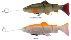 Savage Gear Pre-Rigged 3D Line Thru Trout Lures 7 Savage Gear Pre-Rigged 3D Line Thru Trout Lures -Fishing Tackle Shop savage gear pre rigged 3d line thru trout lures 89082.1650821678