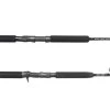Star Plasma Jigging Rods 2 Star Plasma Jigging Rods -Fishing Tackle Shop star plasma jigging rods 81252.1671633358